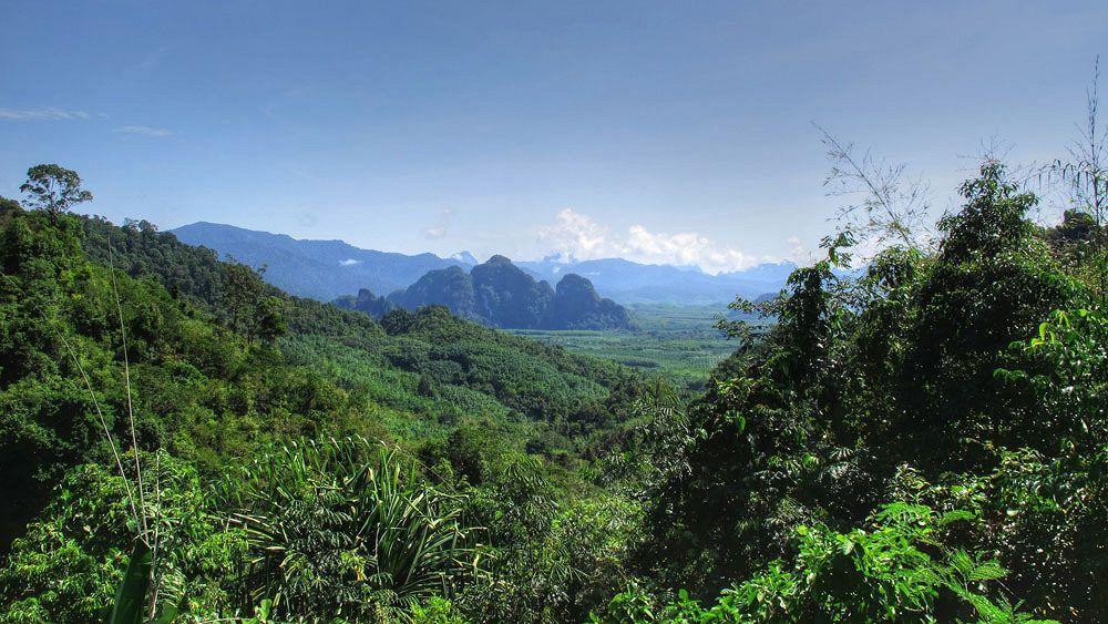 Khao Sok Riverside Cottage Khao Sok National Park Exterior foto