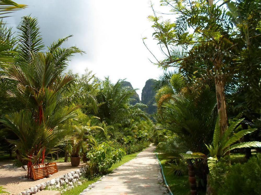 Khao Sok Riverside Cottage Khao Sok National Park Exterior foto